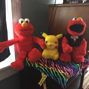 Meet your Posher, Ann